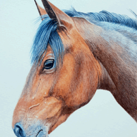 Karen Frampton, New Forest Artist, paintings, greeting cards, murals, slate, Hampshire, UK